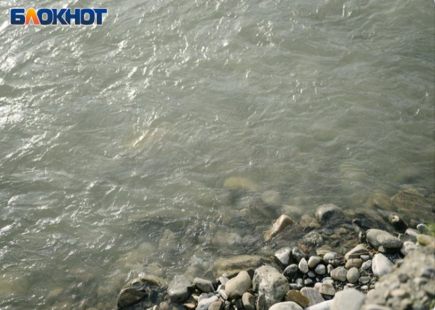 Чтобы компенсировать ущерб от строительства обхода Адлера, в реку Мзымта выпустят 20 тысяч мальков редкого лосося