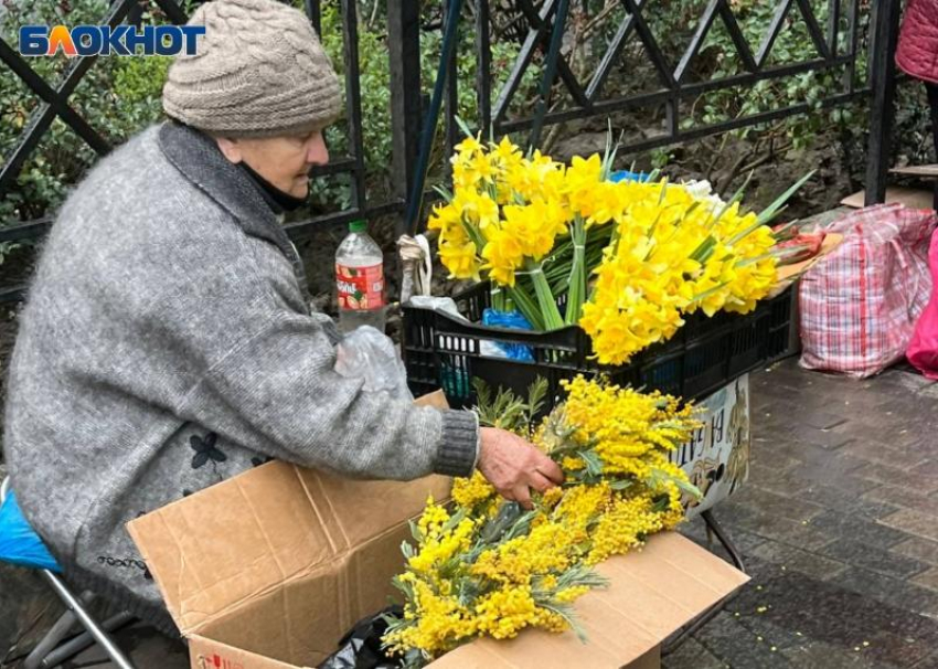 Более 152 тонн мимозы ввезли из Абхазии через таможенный пункт Сочи