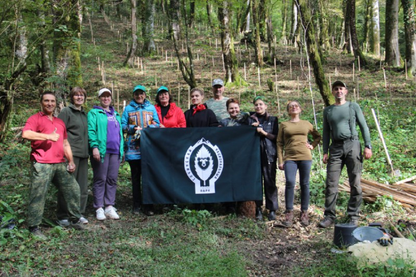 В Сочинском нацпарке высадили 1000 самшитов 