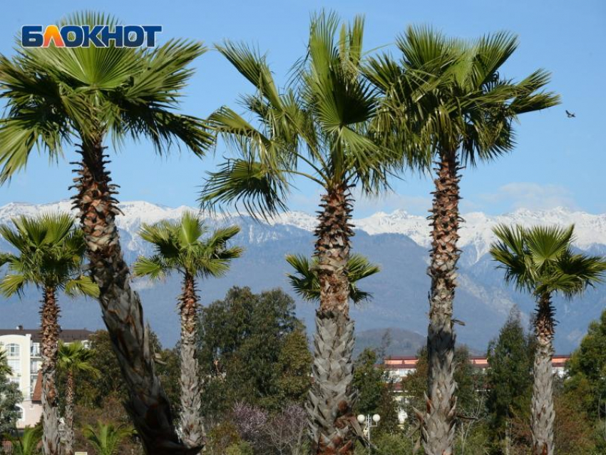 Два дня в Сочи будет слышна стрельба 