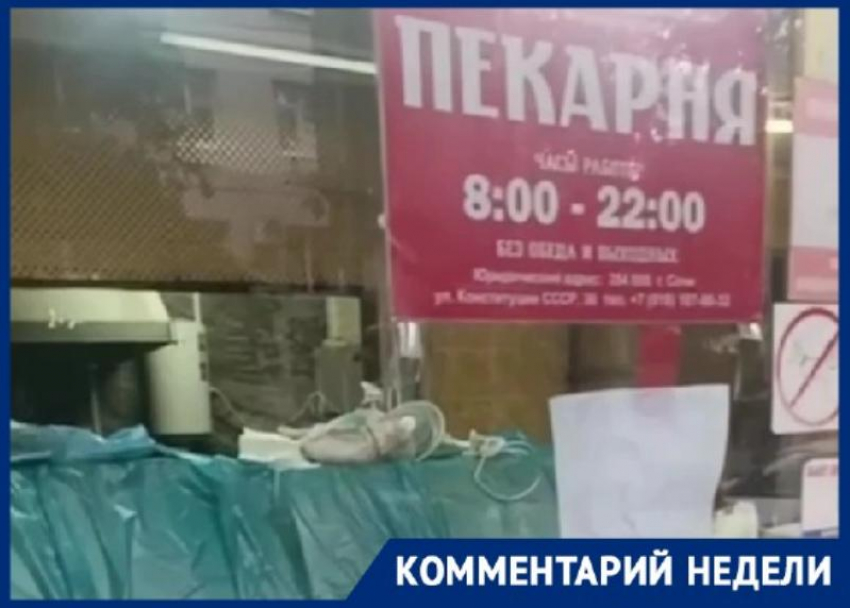  Владелец пекарни из Сочи прокомментировал, как крысы попали в его заведение