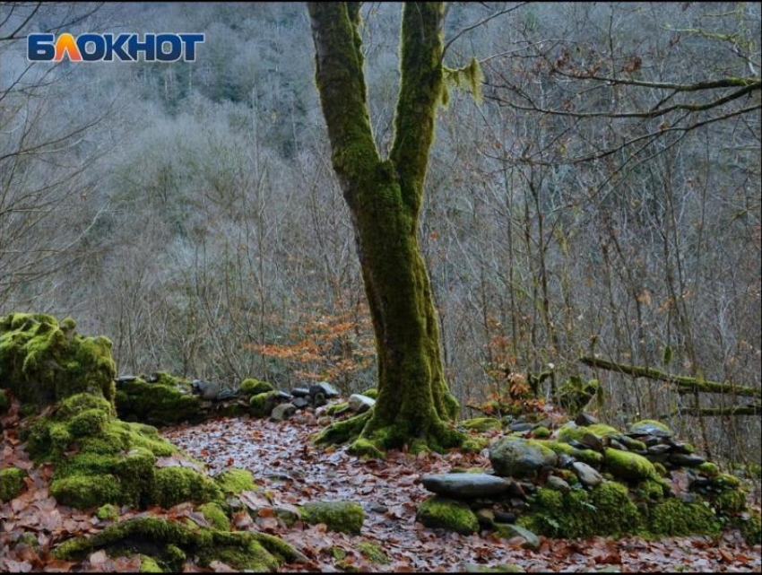 Третий раз за месяц, спасателям Сочи пришлось помогать туристам в Агурском ущелье