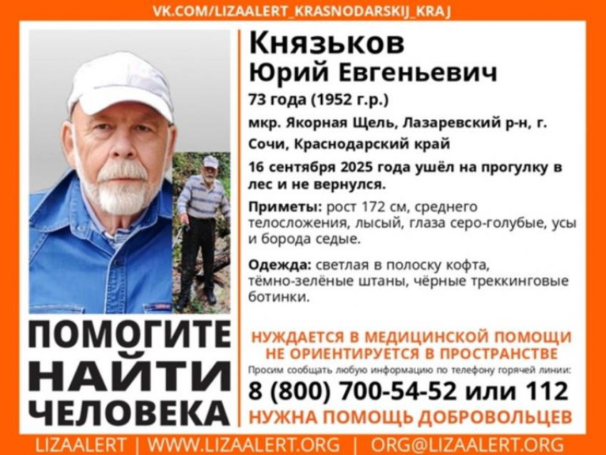 73-летний пенсионер, нуждающийся в медицинской помощи, пропал в лесу Сочи