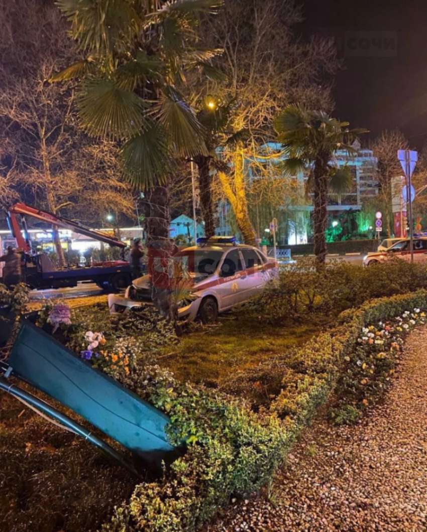 Автомобиль Росгвардии врезался в дерево на Курортном проспекте в Сочи