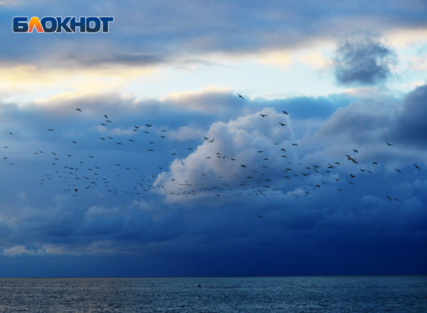 Ливни с грозами надвигаются на Сочи