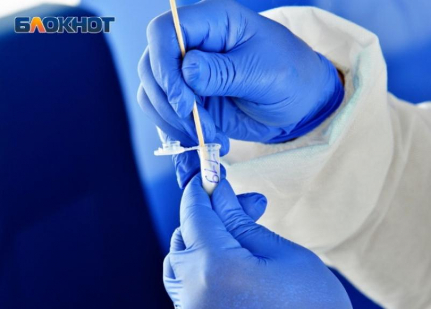 Космонавты, вернувшиеся с МКС, восстанавливают здоровье в Сочи