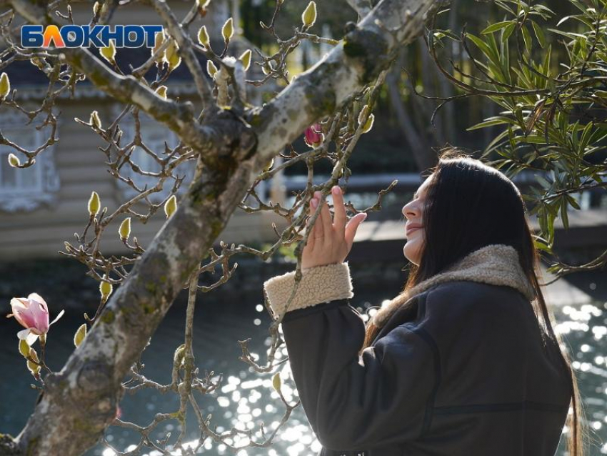 Аномально теплую весну прогнозируют в Сочи