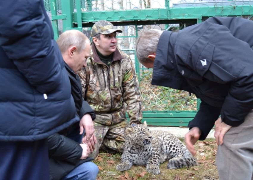Центру восстановления леопардов в Сочи дали имя первого руководителя