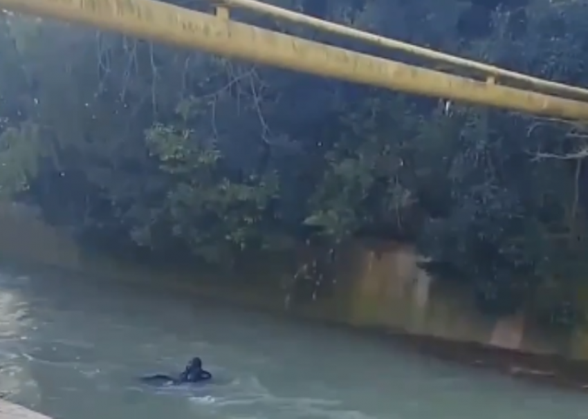 «Фокус не удался, фокусник был пьян»: в Сочи мужчина свалился в реку, пытаясь по трубе перебраться через неё