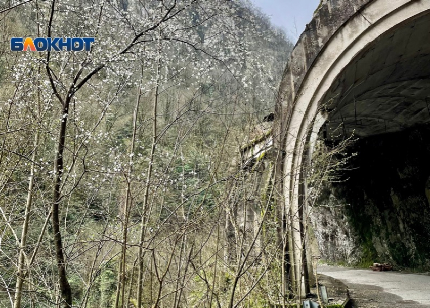 Началась масштабная реконструкция старейшего железнодорожного тоннеля в Сочи 