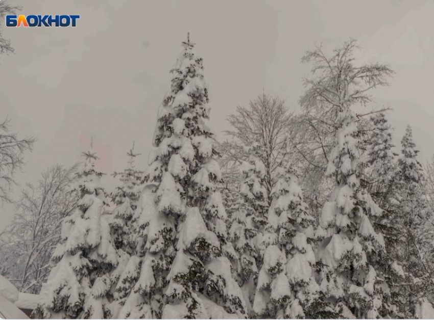 Туристов просят не ходить в горы Сочи из-за циклона «Барбара»