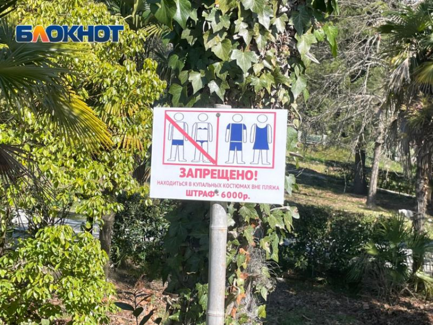 Экскурсовод из Абхазии сделал замечание туристам, загоравшим в парке в купальниках
