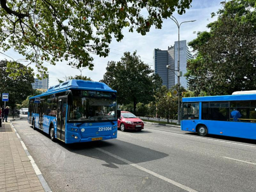 Время движения городских автобусов и маршруток в Сочи увеличат до 23:00 