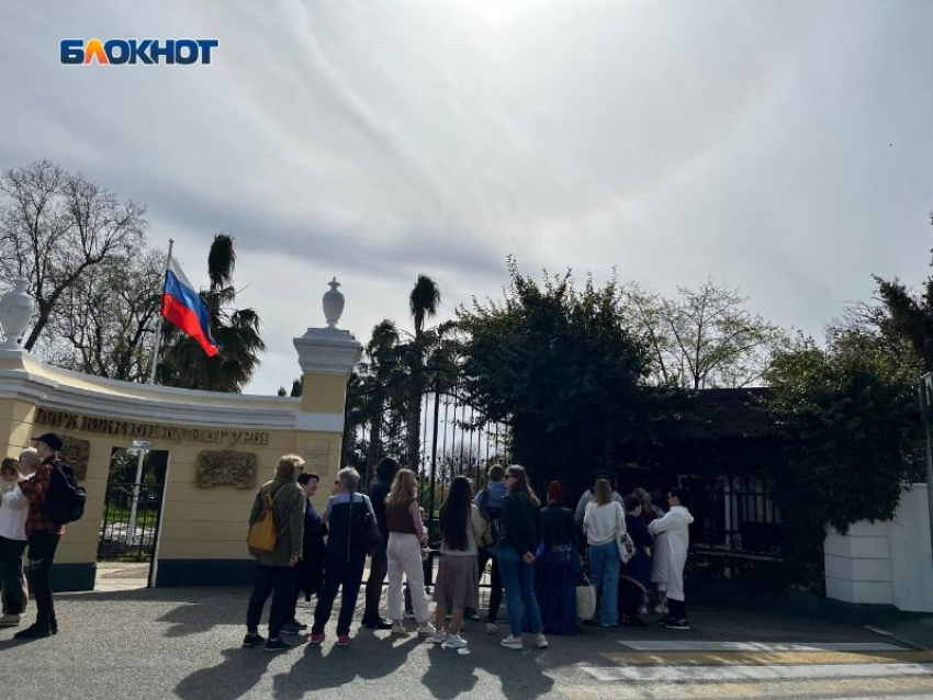 В Сочи очереди выстроились к цветущим магнолиям