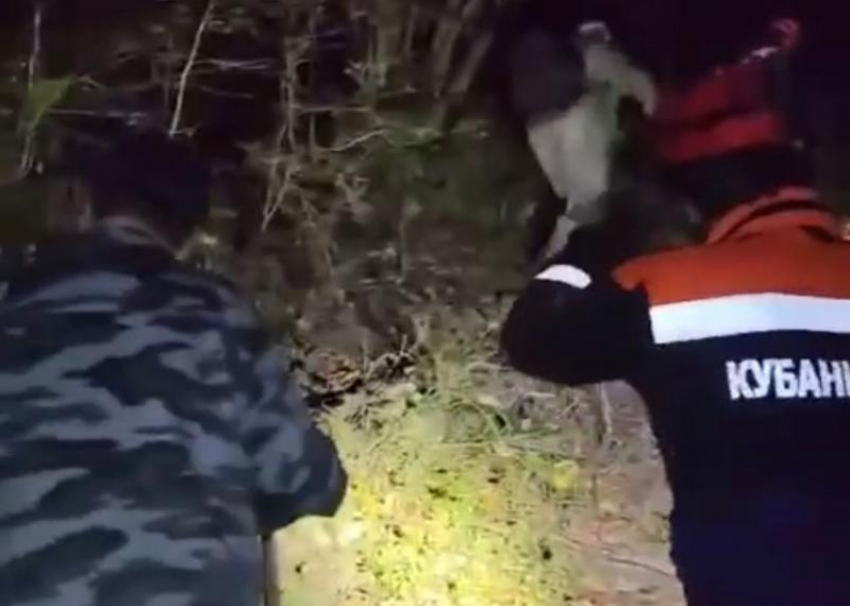 Пожилая пара отправилась за грибами и заблудилась в ночном лесу Сочи