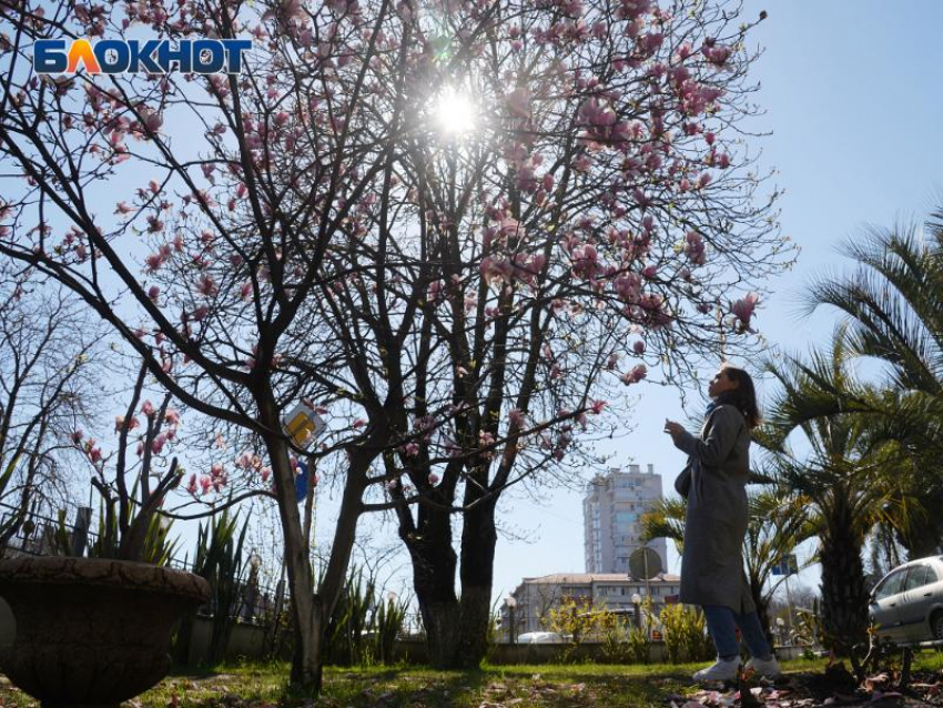 Названа средняя стоимость ночи в отелях Сочи в апреле