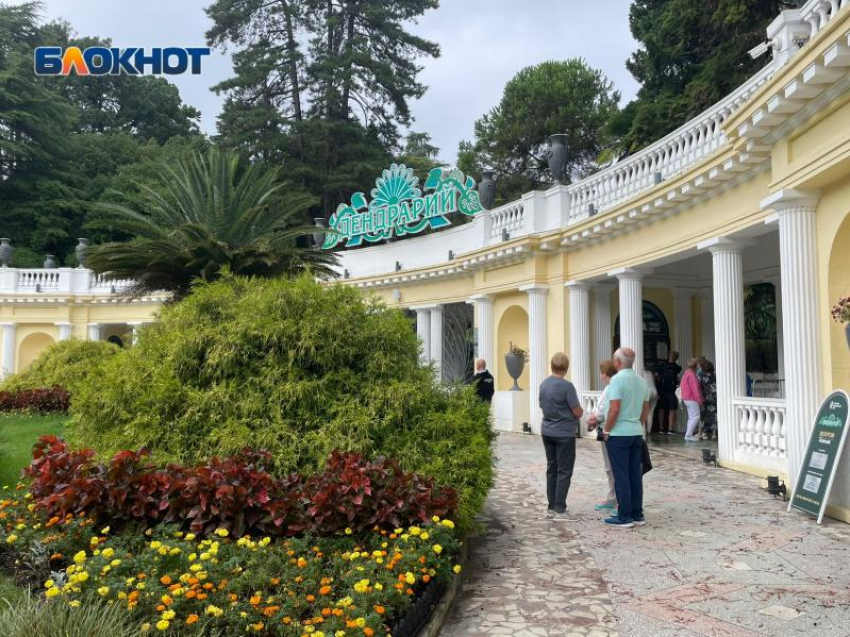 В два раза взлетели цены на билеты в парк «Дендрарий» в Сочи за два года