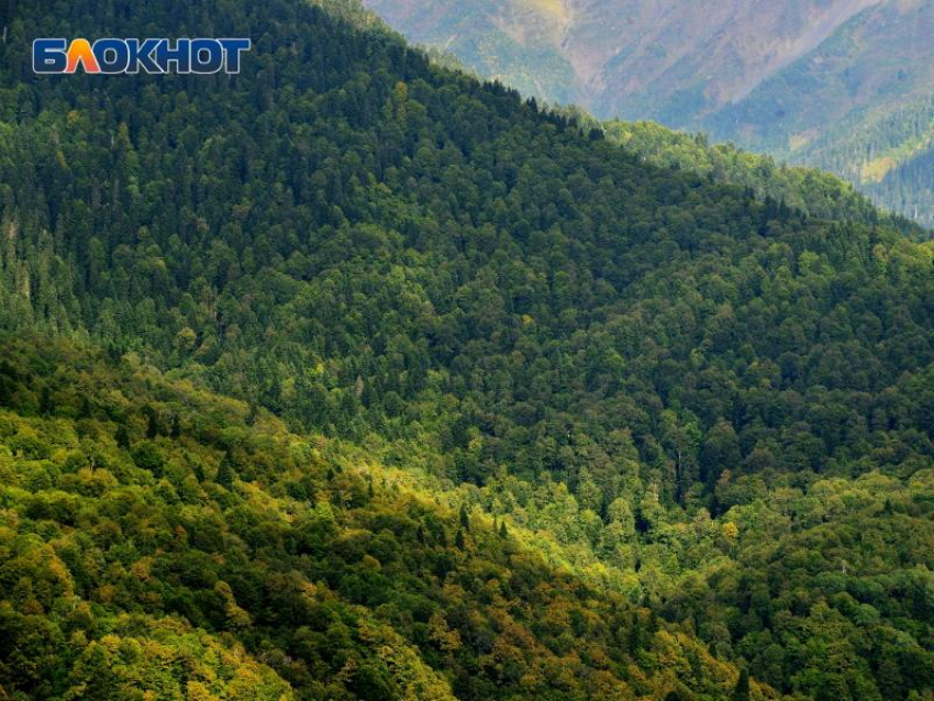 Нацпарк Сочи объявил конкурс пейзажной фотографии