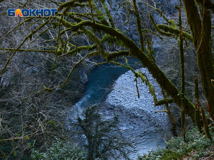 Администрации Сочи всё-таки придётся заплатить 84 миллиона за загрязнение реки Аше
