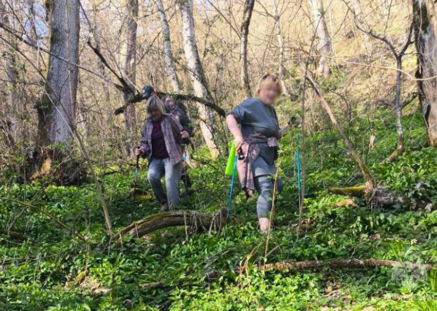 Туристки из Москвы травмировали суставы, заблудившись в горах Сочи