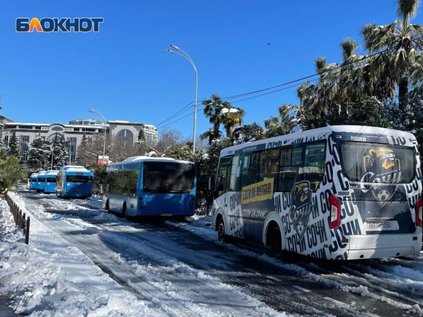  В Сочи водители автобусов отказались выходить на маршрут из-за гололеда 