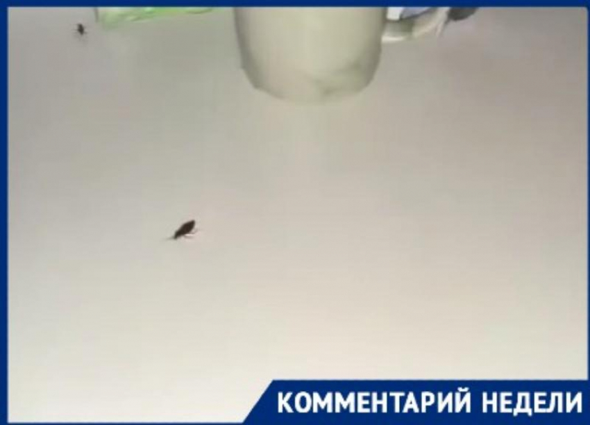 Прокуратура начала проверку после жалоб на тараканов в больнице в Сочи