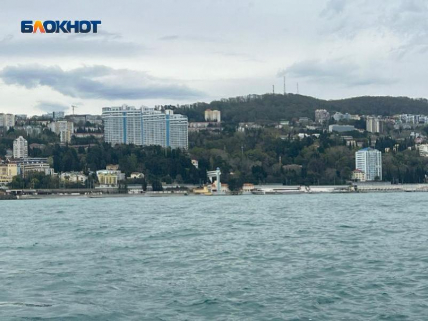 В Госдуме назвали атаку беспилотников на Сочи местью Зеленского