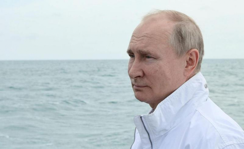 Владимир Путин поспособствовал увеличению на 40 % продаж крема  для сочинской компании