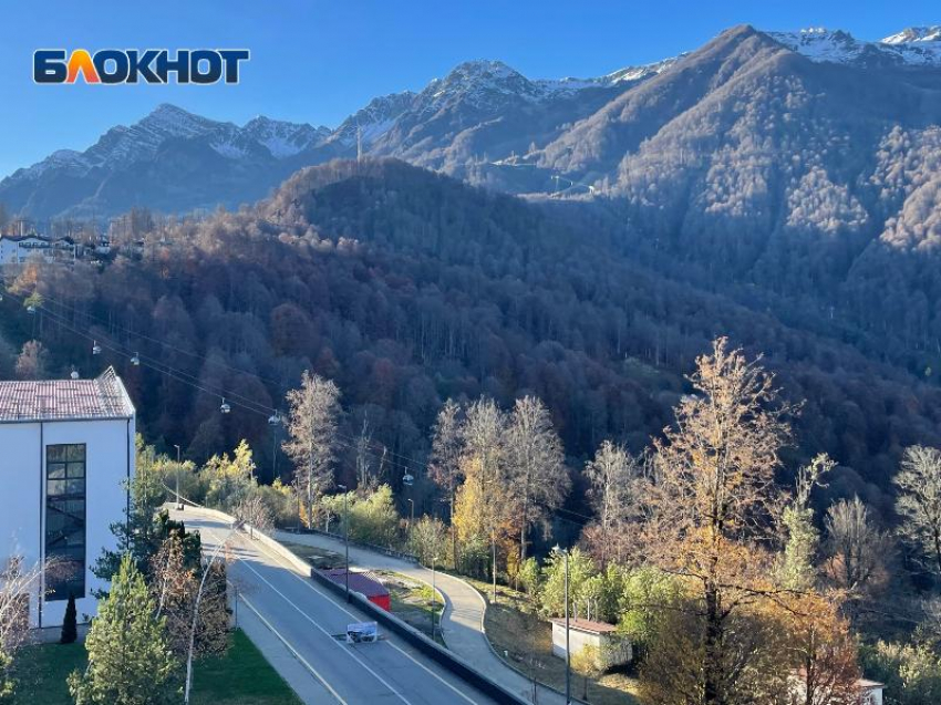  Штраф получил бизнесмен, незаконно привлекающий инвестиции в глэмпинги Сочи