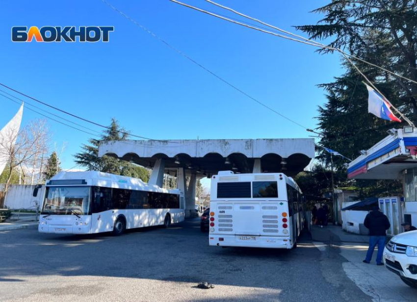 Реконструкция пункта пропуска в Адлере позволит намного быстрее проходить границу туристам