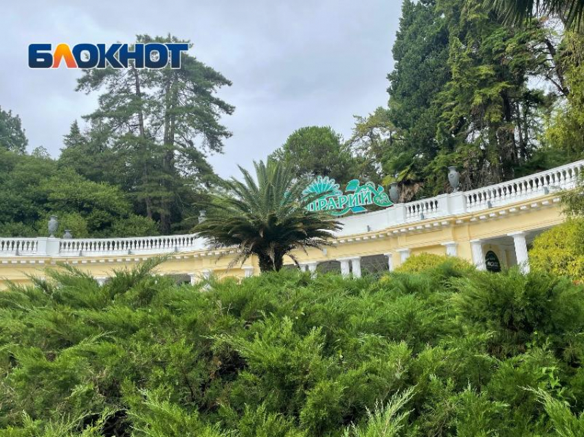 В Дендрарии Сочи пройдет эколого-просветительская встреча в День Земли 