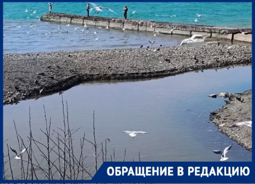 Жители Сочи жалуются, что на Мамайке канализация попадает в реку, а потом в Чёрное море