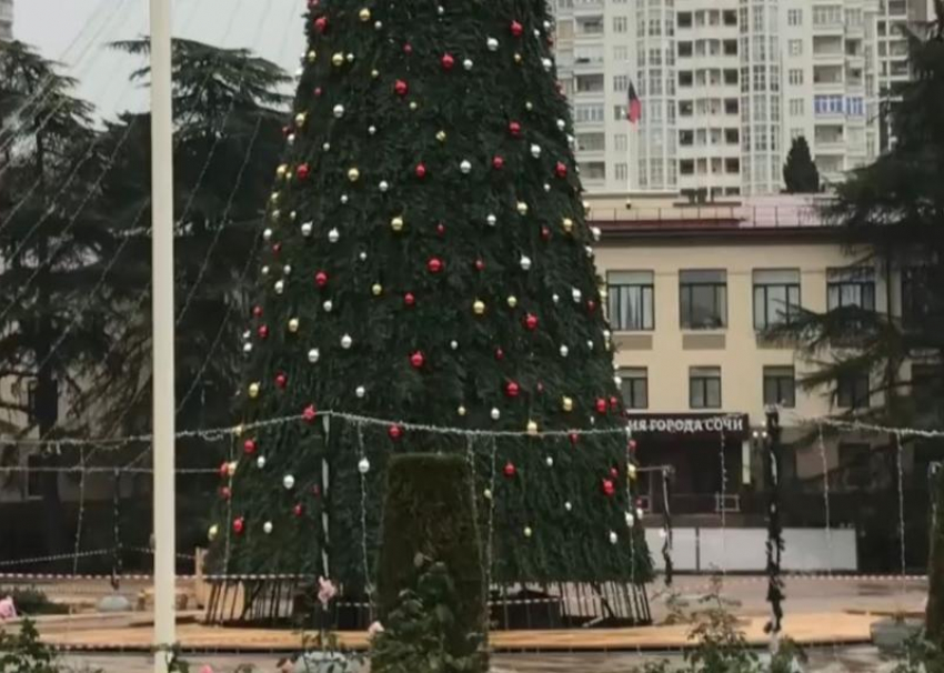 Главную новогоднюю елку нарядили в Сочи