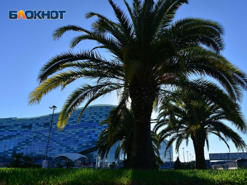 На неделю закрыли вход в Олимпийский парк Сириуса