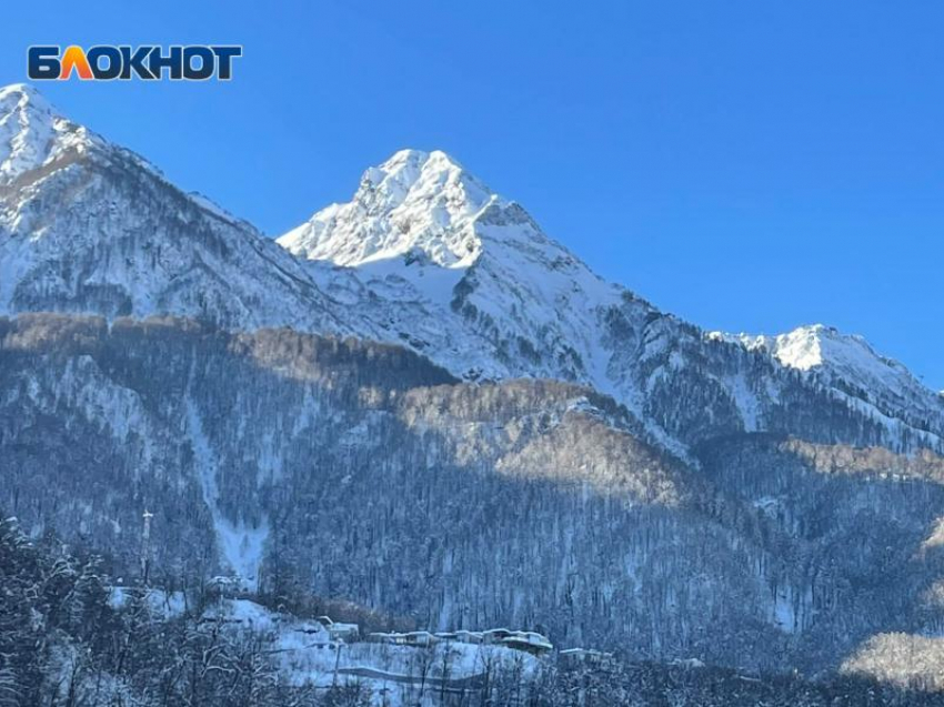 Генпрокуратура взыскала 100 миллионов с компании «Турьев Хутор», планировавшей строительство очередного курорта в Сочи