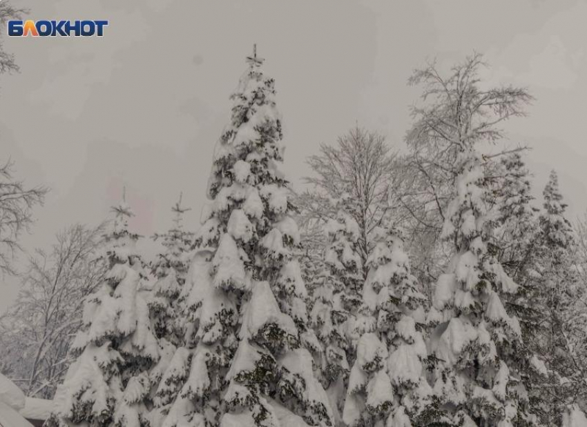 Сильные снегопады ожидаются в горах Сочи