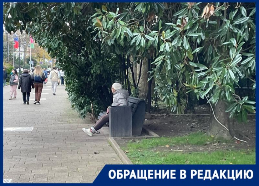  «Помогите и уберите!»: туристы возмущены попрошайкой, годами сидящей на центральной улице Сочи