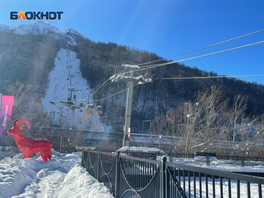 Чемпионат России по волейболу на снегу пройдет в Сочи