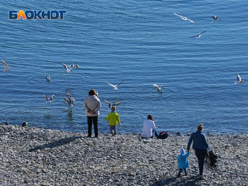 Сочи занял лишь 5 место в рейтинге популярных направлений по России