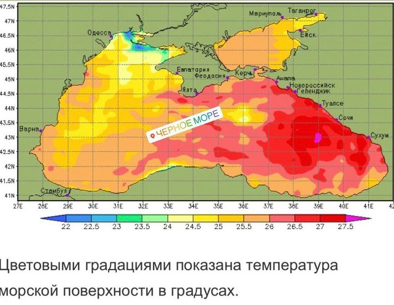 температура воды в черном море.jpeg